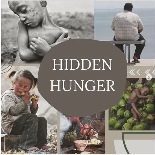 What is Hidden-Hunger and why good nutrition is essential to fight it