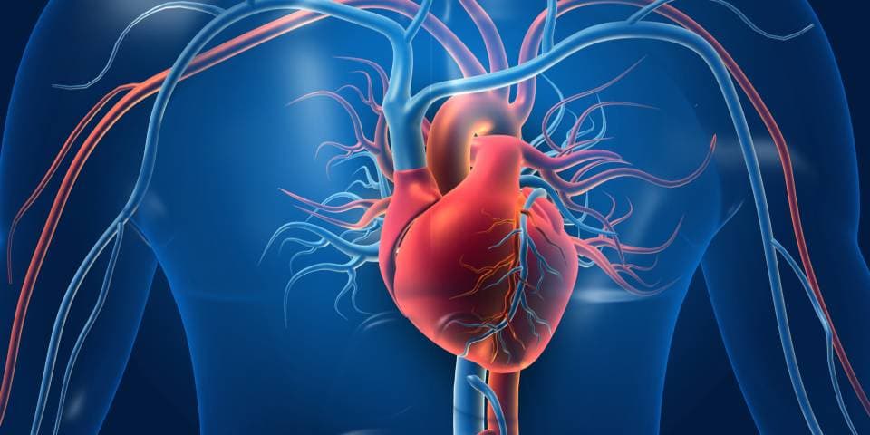 Five Tips to Keep Your Heart Healthy As You Age